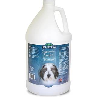 Bio -Groom Groom'n Fresh Dog Shampoo - Lugt Fjernelse