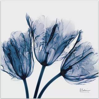 Empire Art Direct-TMP-AK011A-2424 Blue Tulip r?ntgenstr?le Flower Wall Art p? rammel?s gratis flydende tempereret glaspanel klar til at h?nge stu