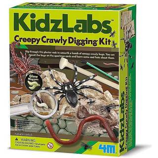 4M Kidzlabs /Creepy crawly digging kit