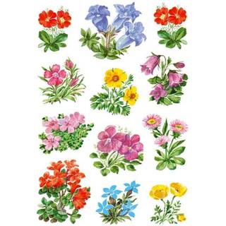 Herma stickers selvklæbende klistermærker - Decor bjergblomster