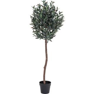 Oliventræ - Kunstig Plante, Grøn H:150 Cm