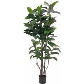 Europalms Rubber tree, artificial plant, 150cm TILBUD NU gummitræ gummi træ