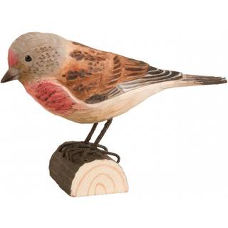DecoBird Hämpling - Udendørsliv fra Wildlife Garden