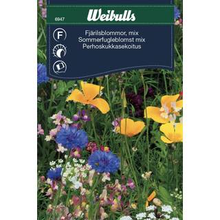 Sommerfugleblomster mix frø