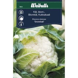 Blomkål 'Snowball' (På lager i butik)