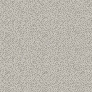 Apelkvist - Grey