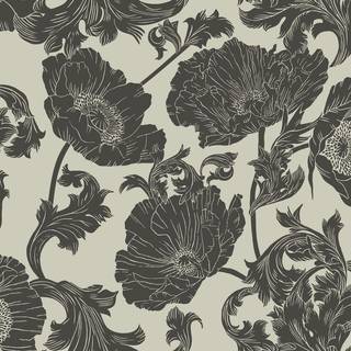 Papaver - Black