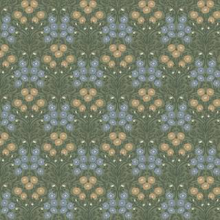 Bellis - Green