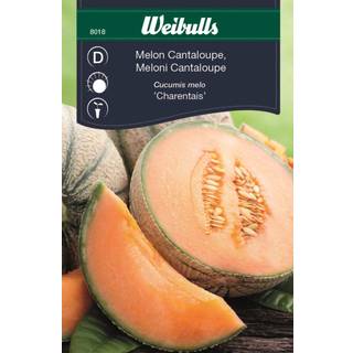 Melonfrø (Melon 'Cantaloupe' / 'Charentais')
