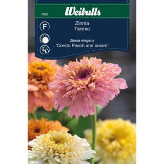 Zinna frø (Zinnia elegans 'Cresto Peach and cream')