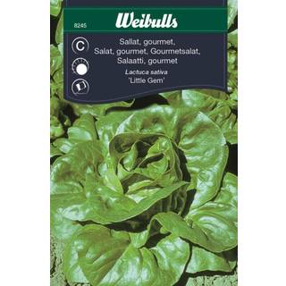 Salatfrø (Gourmet 'Little Gem')