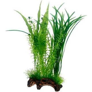Dohse Flora Root 1 L 30 cm