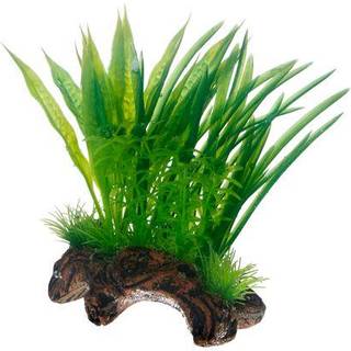 Dohse Flora Root 1 S 17 cm