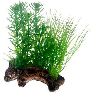 Dohse Flora Root 2 S 17 cm