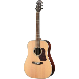 Walden D800EW Western Guitar (Natur)