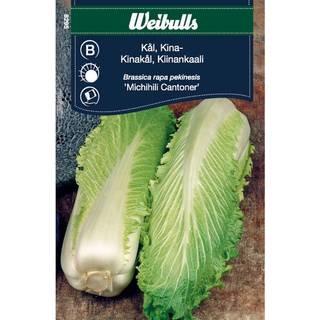 Kinakål 'Michihili' (På lager i butik)