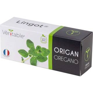 Veritable Lingot Organic Oregano