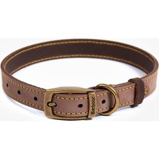 Barbour Herren Hundehalsband