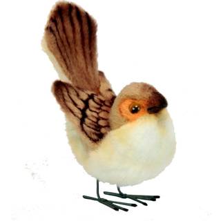 Wren Female (Aussie) 3 ''