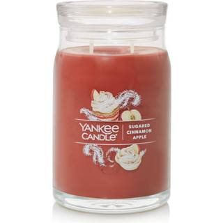 Yankee stearinlys sukkeret kanel ?ble duftende signatur 20 oz stor krukke 2-wick stearinlys over 60 timers forbr?ndingstid