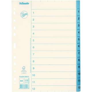 ESSELTE Pappersregister JOPA A4 1-12 vit/blå 5701216699136