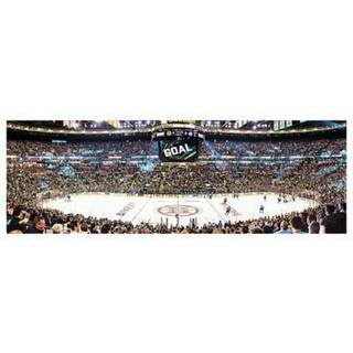 Masterpieces 1000 stykker Sports Jigsaw Puzzle - NHL Boston Bruins Center View Panorama - 13 """" X39 """"