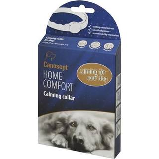 Canosept Home Comfort Calming collar