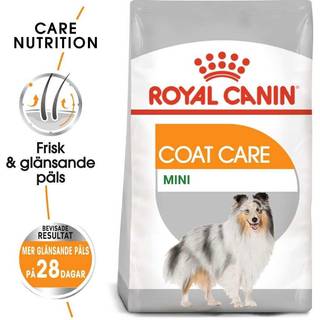 Royal Canin Coat Care Mini - 3 kg