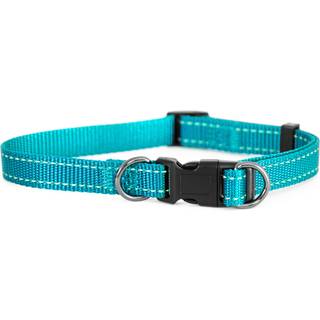 Dogman Nylon Hundehalsbånd Iris Turkis Medium 15mmx35-50cm