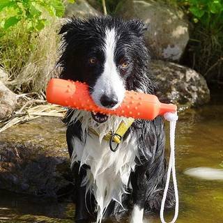 Dogman Gummidummies lille 26 cm