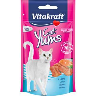 Cat Yums Laks MSC