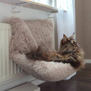 Dogman Hyggelig radiator-seng til katte