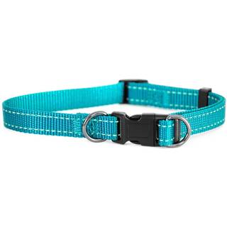 Dogman Nylon Hundehalsbånd Iris Turkis Small 10mmx22-35cm