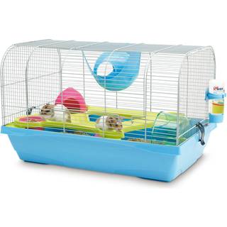 Hamsterbur - Bristol