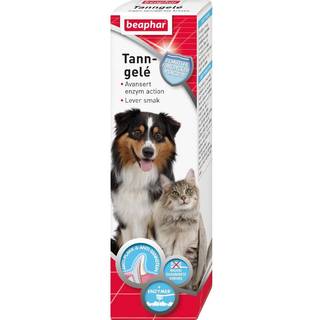 Beaphar Tandgele 100 ml