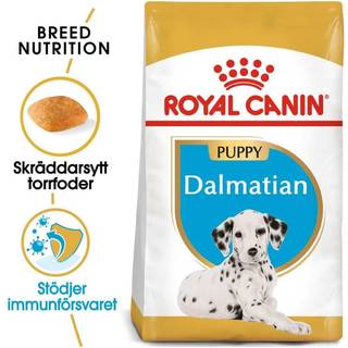 Royal Canin Dalmatian Puppy - 12 kg