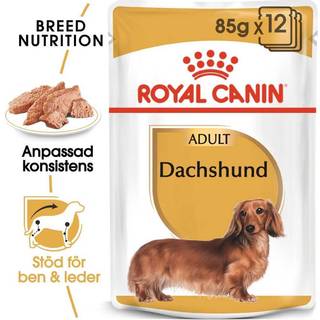 Dachshund Adult Loaf 12x85 g