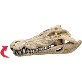 NOBBY KRANIUM AKVARIEDEKORATION 26 X 14 X 9 CM