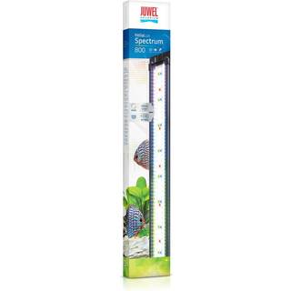helialux spectrum 800 int