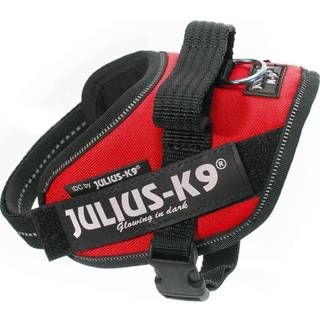 Julius-K9 IDC-harness Mini-Mini red 40-53 cm