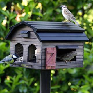 Foderbræt Wildlife Garden - Foderladen brun