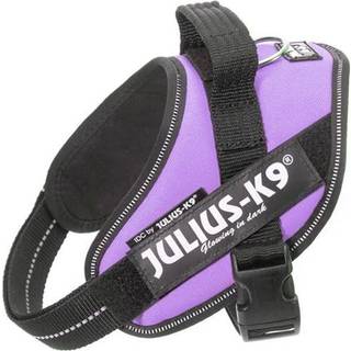 Julius-K9 IDC harness size: Mini UV Orange