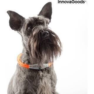 LED krave til kæledyr Petlux InnovaGoods