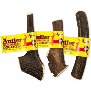 1 stk. Hjortegevir - Stor 151-220 gram