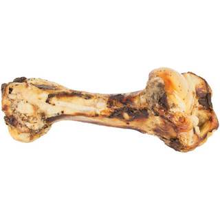 Eldorado Jurassic bone