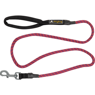 OllyDog Mountain Leash Wild Aster, OneSize