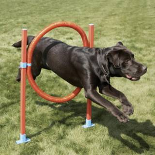 Trixie - Agility Ring - Ø51 cm