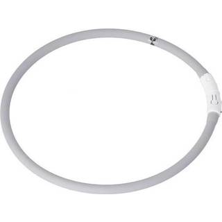 Dogman Flashing LED Collar Grey
