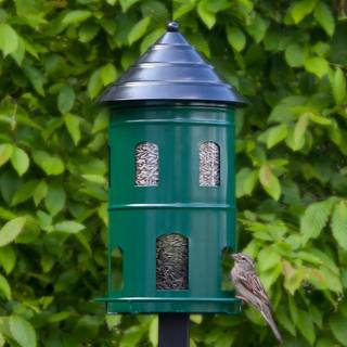 Wildlife Garden Kæmpe Foderautomat Grøn - fra Wildlife Garden