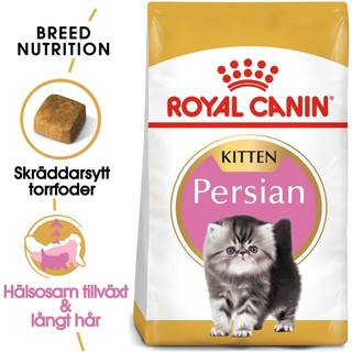 Royal Canin Persian Kitten - 10 kg